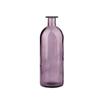Hydroponic Plant Living Room Glass Bottle Home Decoration Flower Vase Glass Vase Table Decor