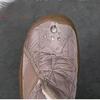 Winter Women's Cotton Shoes Plus Velvet Thickened High-tube Snow Boots Warm and Comfortable Mother Cotton Shoes Women's Cotton Shoes