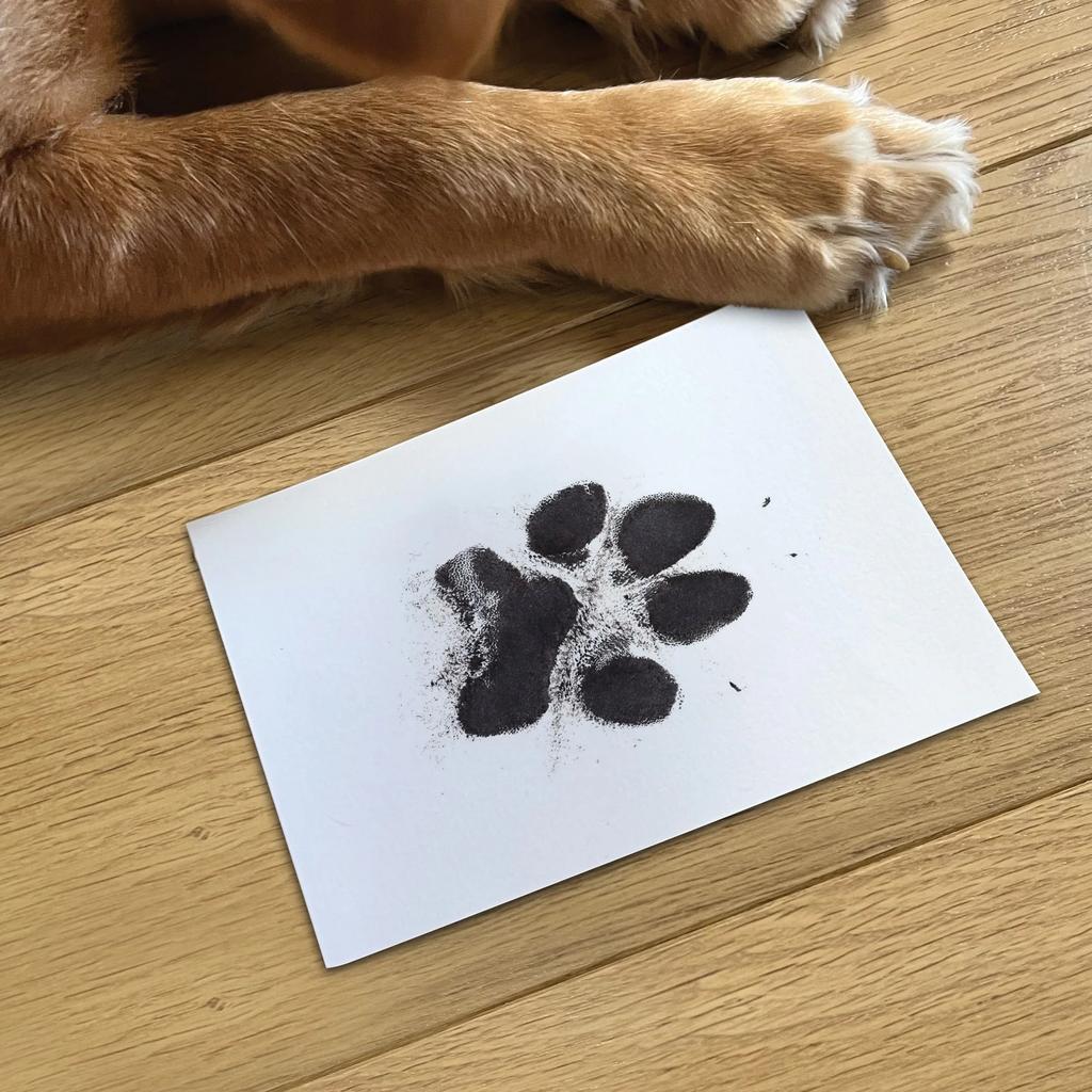 Cat Paw Print Pad Safe Non-toxic Pet Nose Print Souvenir DIY Customized Gift Puppy Kitten Stamp Footprint Chihuahua Accessories