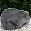 18cm Simulation Plush Hamster Animal Plush Stuffed Doll Toy Home Sofa Decor