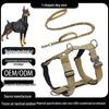 Köpek – Köpek Tasmaları ve Tasma Kayışları