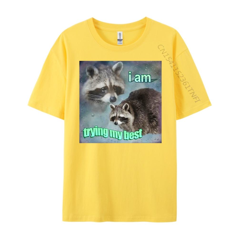 Raccoon I Am Trying My Best Sad Unisexs Korean Fashion Unisex Oversized T Shirt