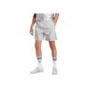 Adidas Originals Adicolor 2000s Fashion Soft Comfortable Casual Sports Shorts Men Shorts Light-Gray Gray JP1132