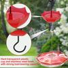 4 Pcs Hummingbird Feeder Anti Ant Hook 5 OZ Large Capacity Hummingbird Feeder Ant Guard Transparent Plastic Ant Moat with Hooks