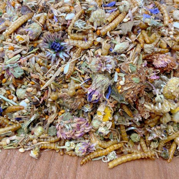 Mixerama | Roborowski Gourmet Menü | Pokarm Dla Chomika 500G - Dla Chomika Roborowskiego 500G