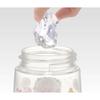 Skater Water Bottle 480ml Children's Clear Bottle with Straw Disney Princess 23 Girls PDSH5