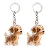 Dog Hair Storage Bottle Pet Memorial Keychain Transparent Hair Locket