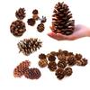 Handmade Natural Pine Cones for Christmas Decorations & Photography Props
