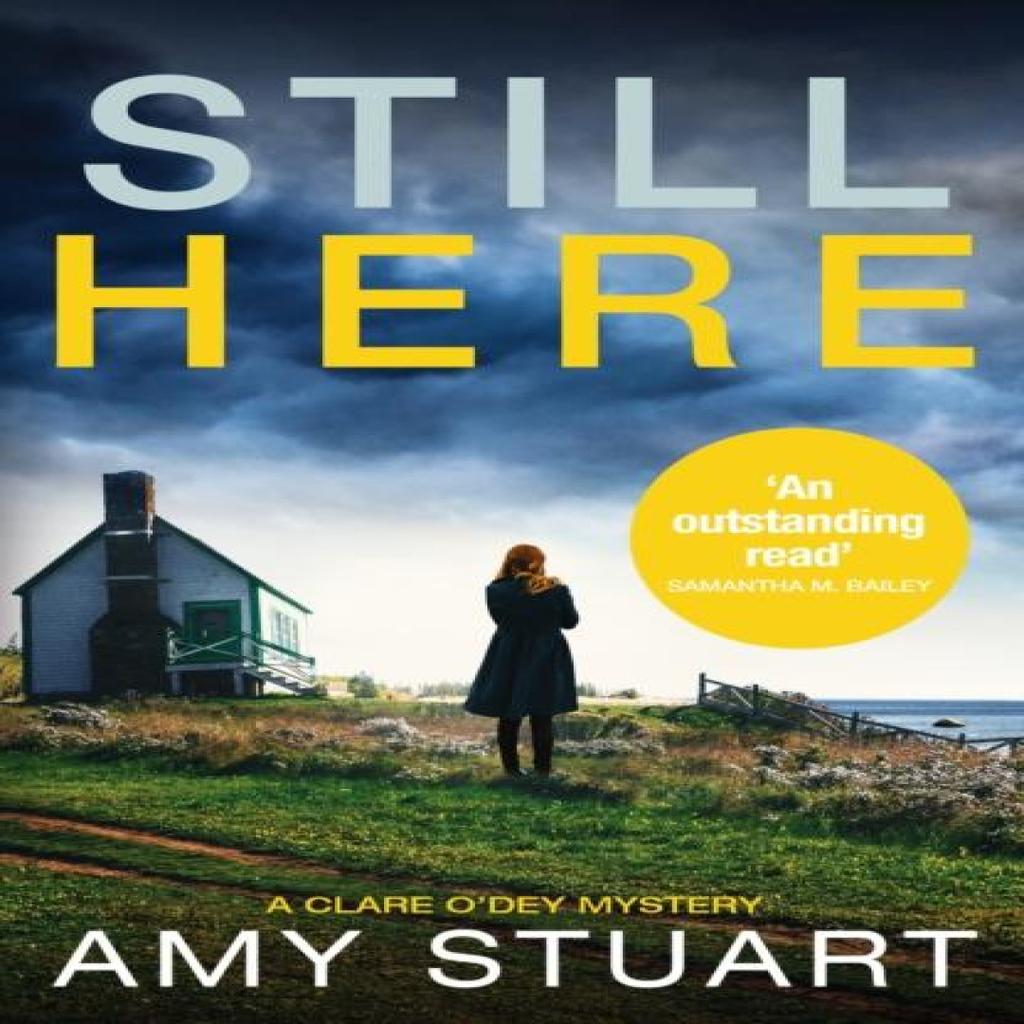 Still Here by Amy Stuart Paperback Book 9781800324695