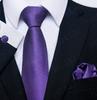 Herren-Krawatten- und Einstecktuch-Set mit floralem Streifenmuster für formelle Geschäfts- und Hochzeitsanlässe