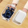 1/3/5pcs Spice Storage Box PP Food-grade Material Spice Preservation Box Cabinet Organizer Clear Fruit Spice Sealed Container