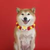 2026 Jahr des Pferdes Haustierhalsband Plüschball Katze Hund Halskette mit süßem Pferdeanhänger Weihnachts- & Chinesisches Neujahrsdekoration