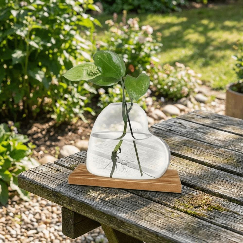 Transparent Hydroponic Glass Vase Decorative Tabletop Plant Vase Mini Terrarium Desktop Decoration