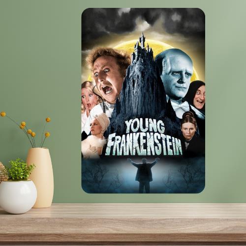 

Young Frankenstein Classic Movie Metal Poster Sign 20x30cm（7.8x11.8inch）