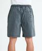 Stretch Washed Walk Shorts