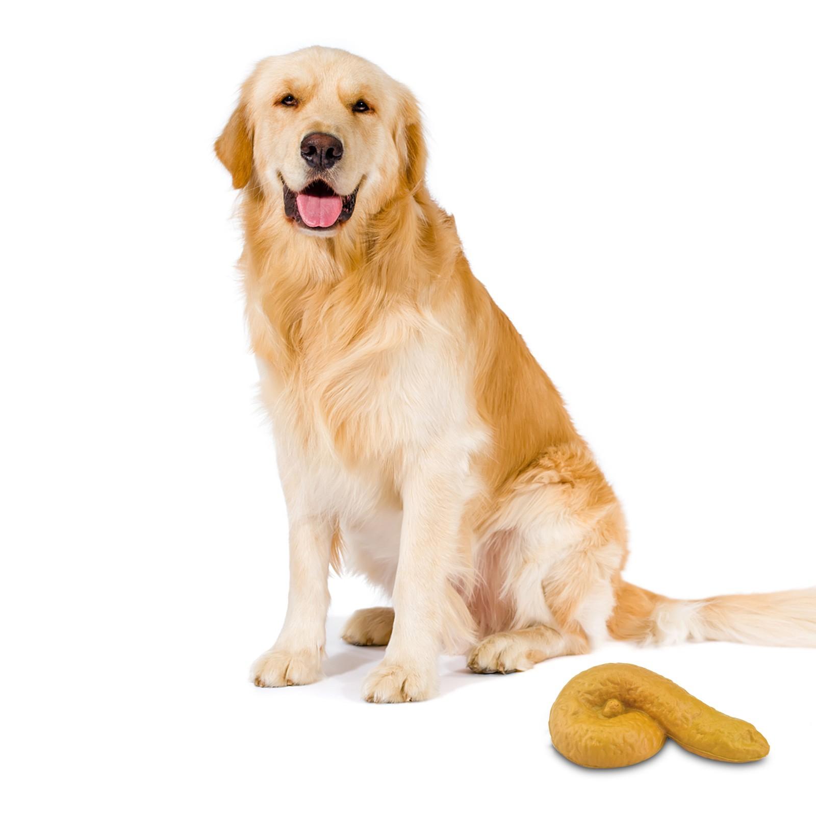 (проектор)Поддельные какашки плавают на воде — фото 7