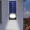 Xuan Yong LED Solar Outdoor Garden Light