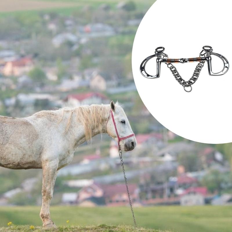 Secure Double Chain Equestrians Bit Stainless Steel Construction for Weatherproofed Horse Training Accessories