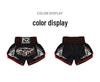 Muay Thai UFC Sanda Summer Training Boxing Shorts - MMA Fight Gear
