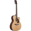 Ibanez High Ibanez / PC34CE-NT (Natural Gloss) [Electric Acoustic]