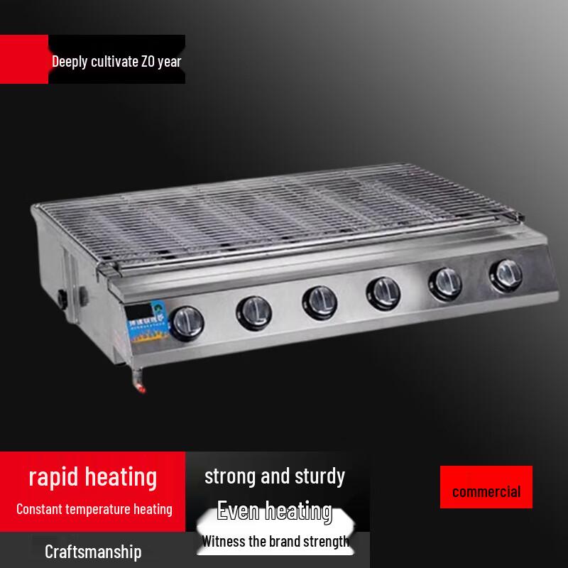 Commercial Stainless Steel Gas Grill and Roaster