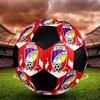 1 pz Pallone da Calcio FC Viktoria Plzen Taglia 5 Pallone da Calcetto Indoor alla Moda Colorato Gioco per il Cortile - Ottimo Regalo per Appassionati di Sport HE38