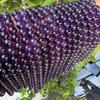 Natural Amethyst Round Beads for DIY Jewelry - Popular Style, Loose Semi-Finished Accessories