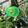 Bee Watering Cup Station Insect Butterfly Drinking Cup with Marbles Garden Decor