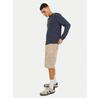 Шорты Jack & Jones Jpstcole