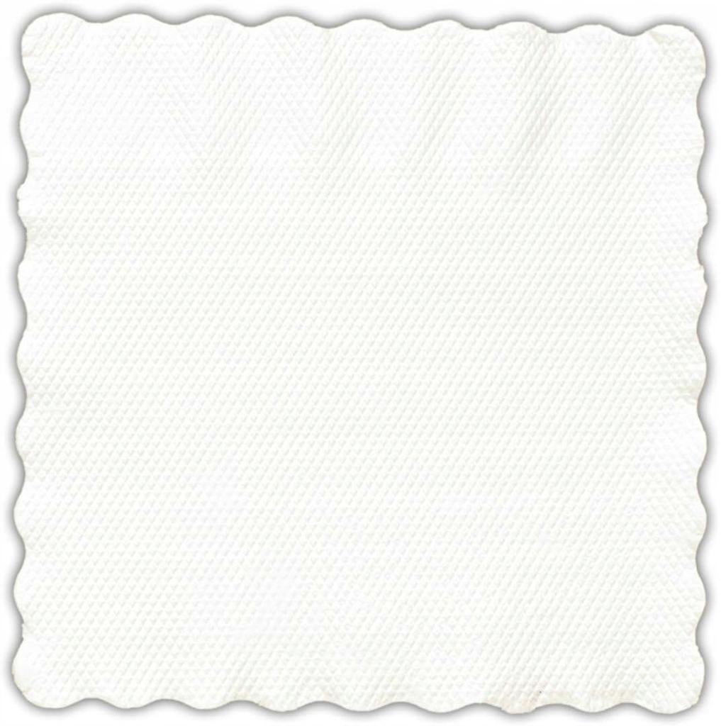 Ravi Catering Napkins 15 X 15 White 200 Pcs