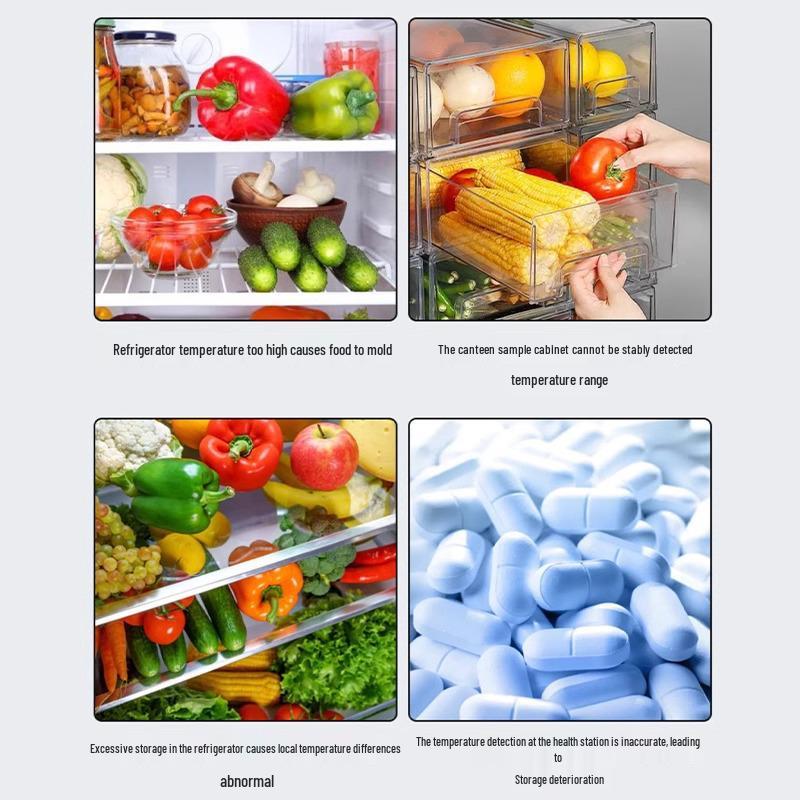Built-In Refrigerator & Freezer Thermometer for Cold Storage & Sample Cabinets