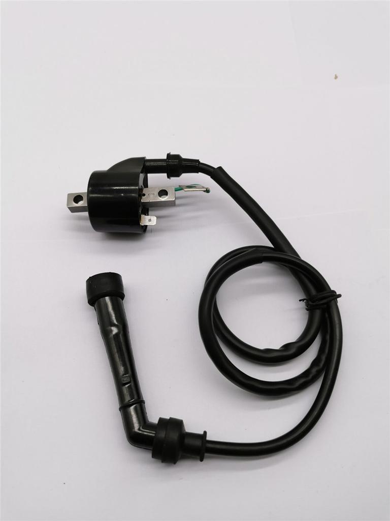 This listing is for  Honda ignition coil for the models listed below.