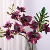 Realistická lodyha Cattleya Orchidej Realistický dotek Cymbidium Kytice Umělé květy Orchidejí Svatba