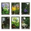 10.4*7.3cm The Druid Plant Oracle 36 Pcs Cards: Working with The Magical Flora of The Druid Tradition