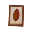 Transparent Double-Sided Glass Photo Frame for Dried Flowers and Leaves