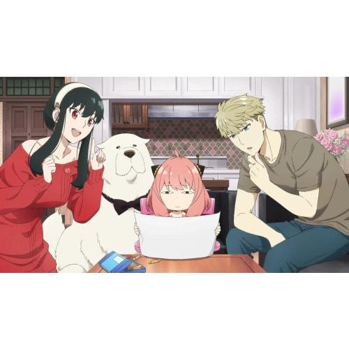 Spyfamily Operation Diary Spy Family Operation Diary -switch