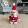 Cute Dog Santa Claus Outfit Christmas Costume for Small Dogs Cats Yorkie Cosplay Clothes Dress Up Jumpsuit Party Gifts Supplies