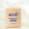 Blue Moon Healthy Hand Soap Refill 5kg
