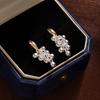 Gold And Silver Contrasting Color Bead String Earrings Temperament Grape String Earrings Niche High-End Earrings Show Face Thin Earrings Women