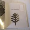 [USED] Karl Blossfeldt:Photographs1865-1932