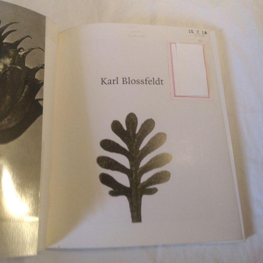 [USED] Karl Blossfeldt:Photographs1865-1932