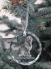 Pyrenean Sheepdog, Labri, Pyrenees Sheepdog - Crystal Bauble with a Photo, Dog Photo In Crystal, Personalized Christmas Tree Ornament by Art-Dog Brand