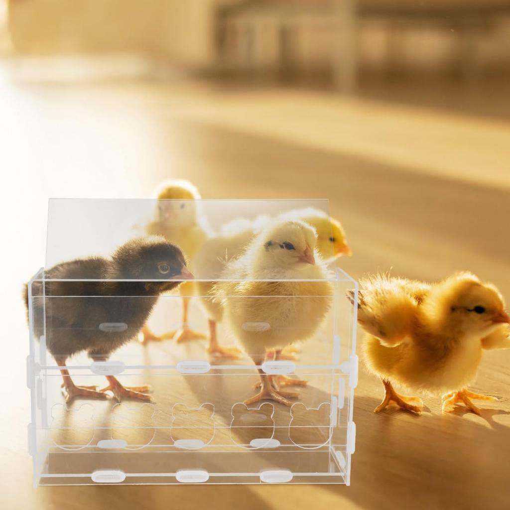POPETPOP Quail Transparent Feeder Rutin Chicken Feed Box Chick Small Bird Food Water Container for Chicks/ducks/quail/rutin Chicken Brooder Box