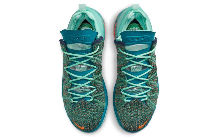Nike LeBron 18 We Are Family CQ9283-300