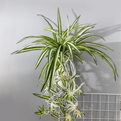 Chlorophytum Leaf Grass, Simulated Plant Chlorophytum, Wall-Mounted Green Plant Decoration, Wall-Mounted Interior Decoration