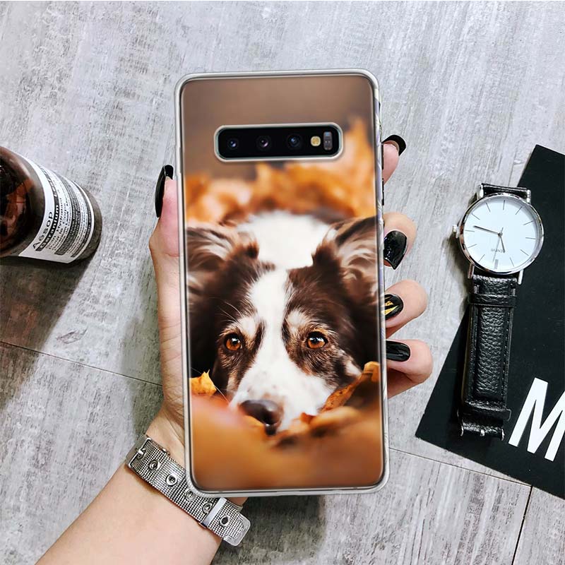 

Чехол для телефона Border Collie Clever для Samsung Galaxy S20 FE S10 Plus S21 S22 Ultra S10E S9 S8 S7 Edge J4 + чехол Fundas Samsung S10E