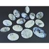 340Cts. Natural Dendrite Opal Agate Oval Cabochon Loose Gemstone 15Pcs Lot C-2005