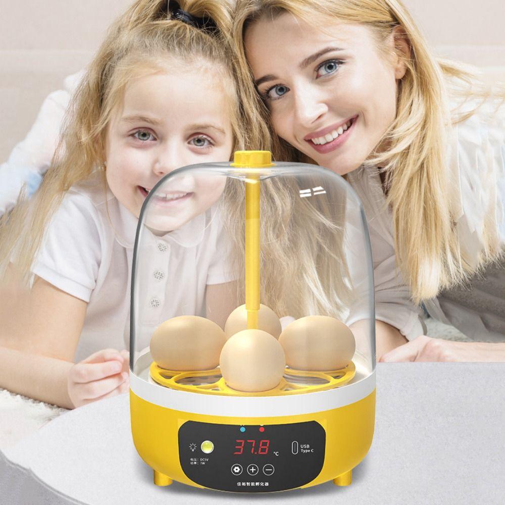 

Electric 4 Eggs Incubator Manual/Automatic Poultry Incubator Education Manual