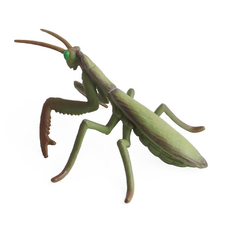 Realistic Pvc Insect Bees Spiders Model Set For Science Education And Collection Display