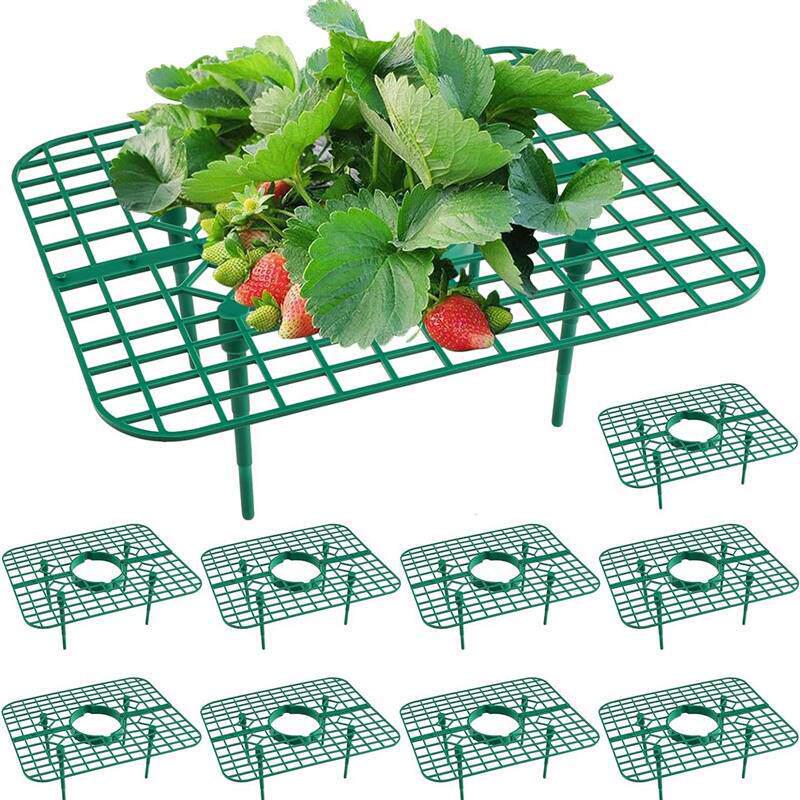 Greenhouse Strawberry Plant Support Frame - Garden Balcony Climbing Vine Rack, PP Material.